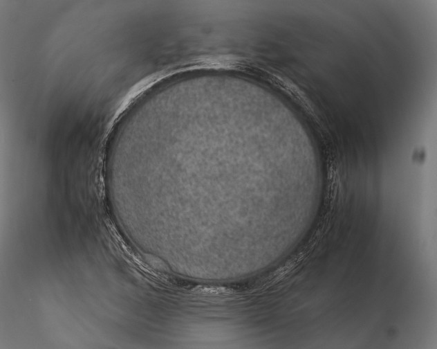 X0000116001168200912101310