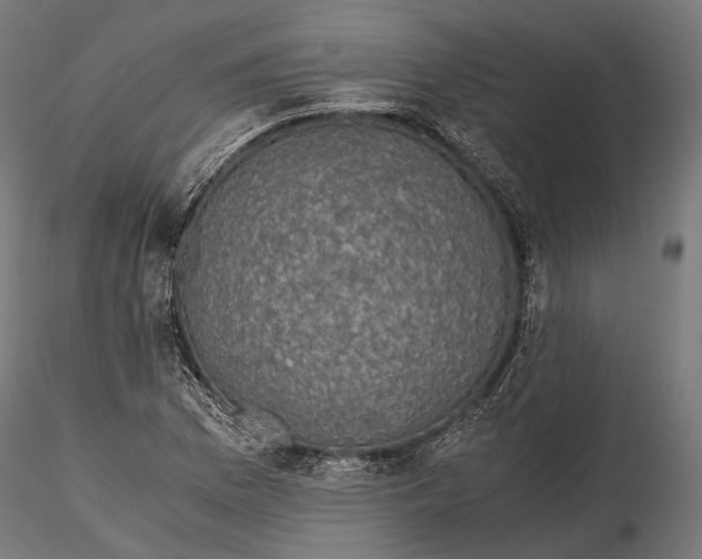 X0000116001169200912101310