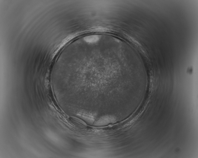 X0000116001170200912101310