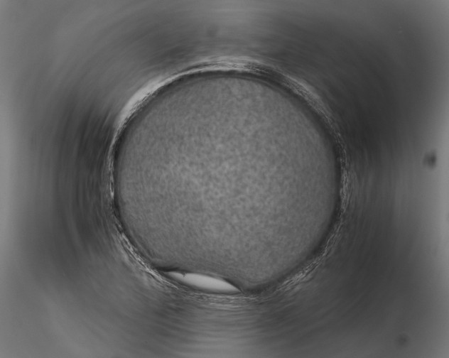 X0000116001172200912101310