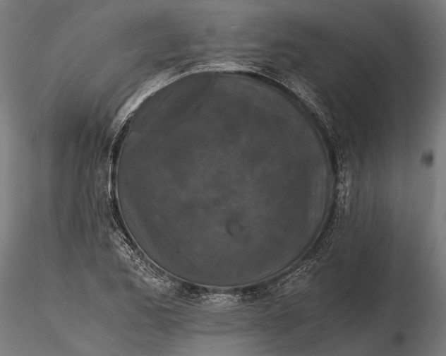 X0000116001173200912101310