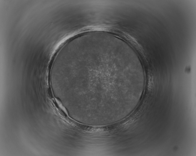 X0000116001174200912101310