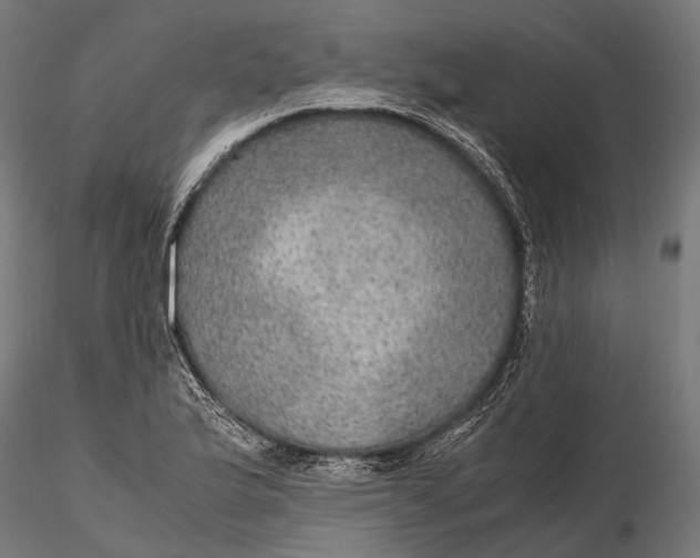 X0000116001175200912101310