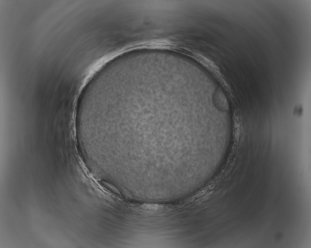 X0000116001176200912101310