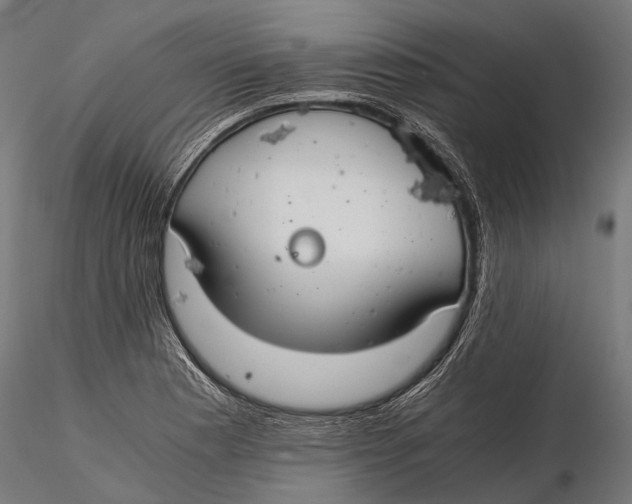 X0000116001177200912101310