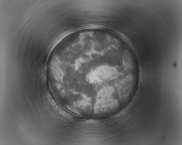 X0000116001178200912101310