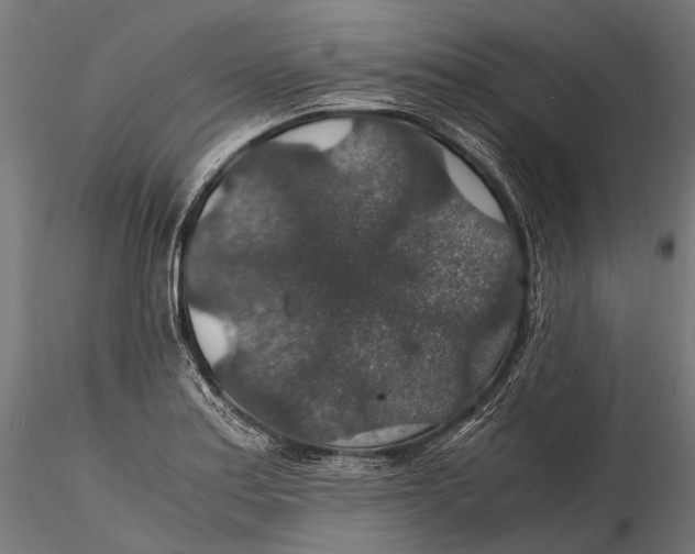 X0000116001179200912101310