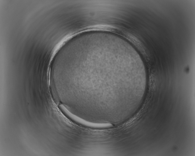 X0000116001180200912101310