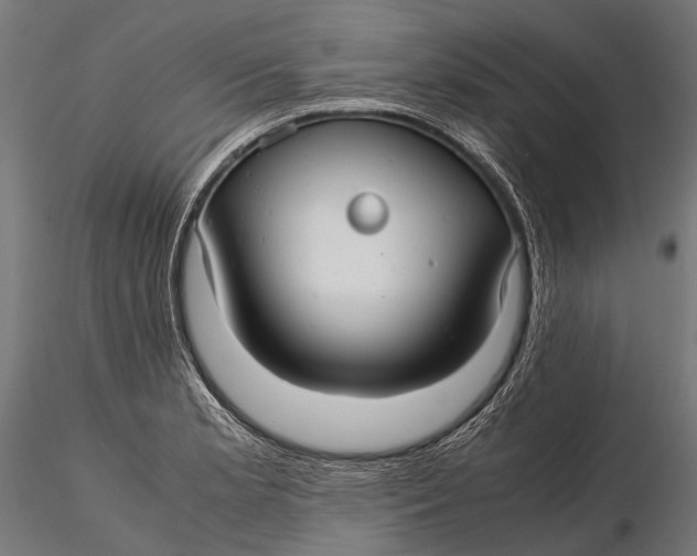 X0000116001181200912101310