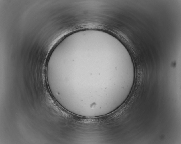 X0000116001182200912101310