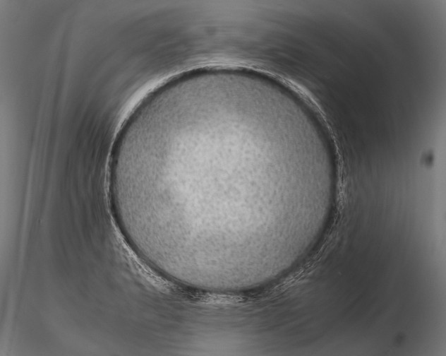 X0000116001183200912101310