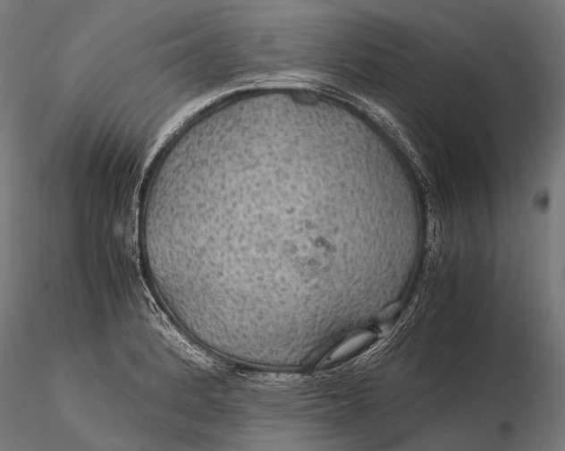 X0000116001184200912101310