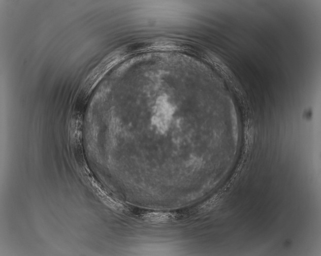 X0000116001185200912101310