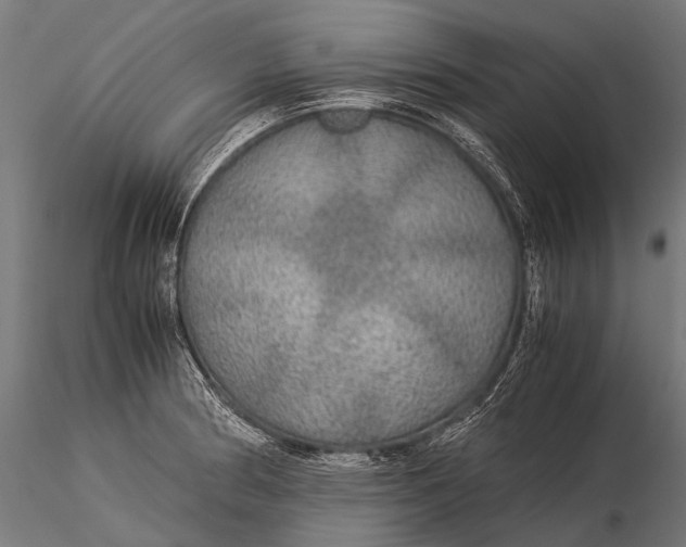 X0000116001186200912101310