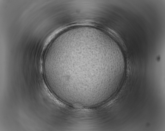 X0000116001188200912101310