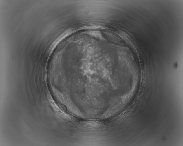 X0000116001189200912101309