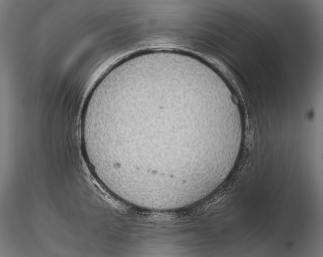 X0000116001191200912101309