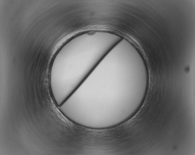 X0000116001192200912101309