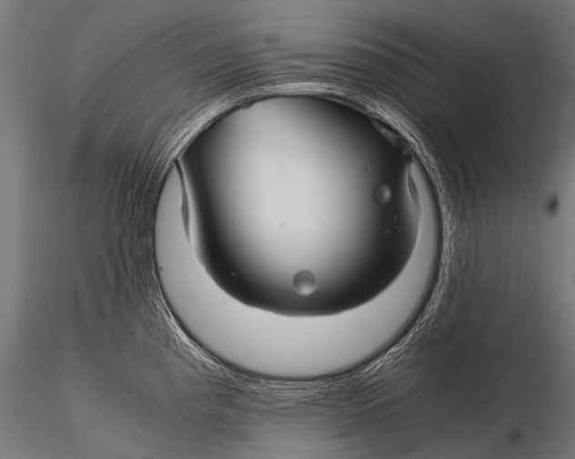 X0000116001193200912101309