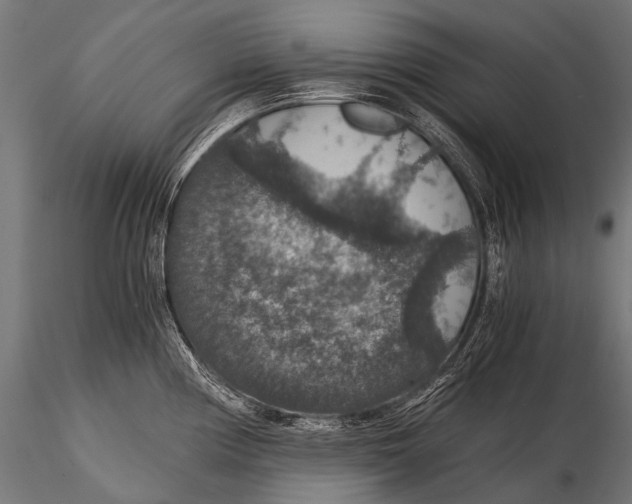 X0000116001194200912101309