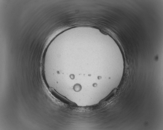 X0000116001195200912101309