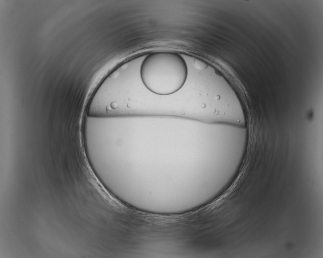 X0000116001196200912101309