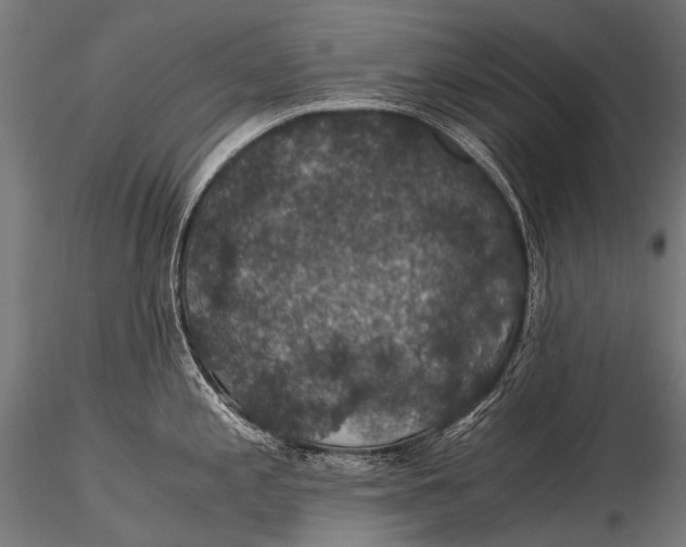 X0000116001197200912101309