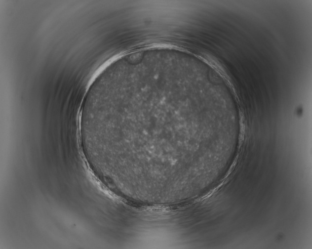 X0000116001198200912101309