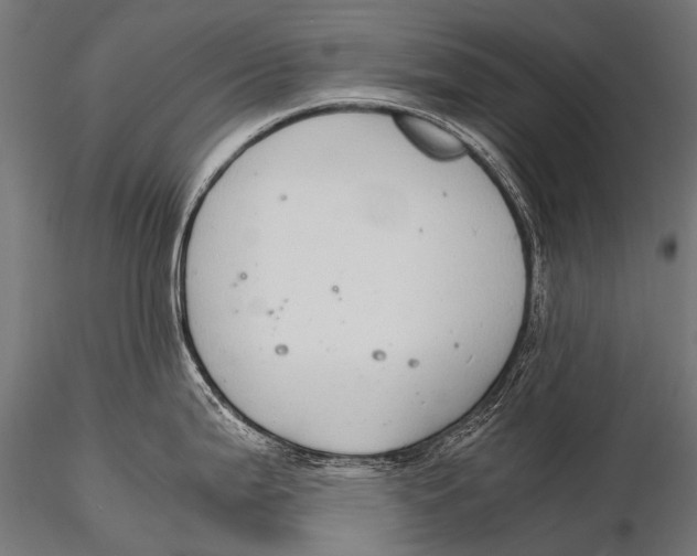 X0000116001199200912101309