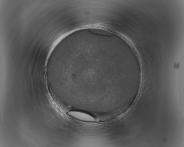 X0000116001200200912101309