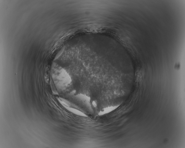 X0000116001202200912101309