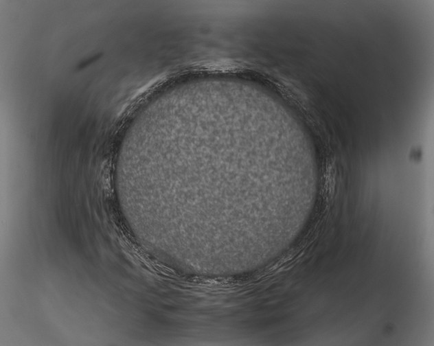 X0000116001205200912101309