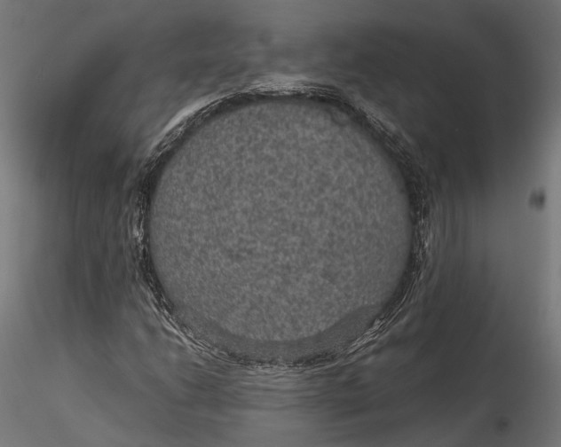 X0000116001206200912101309