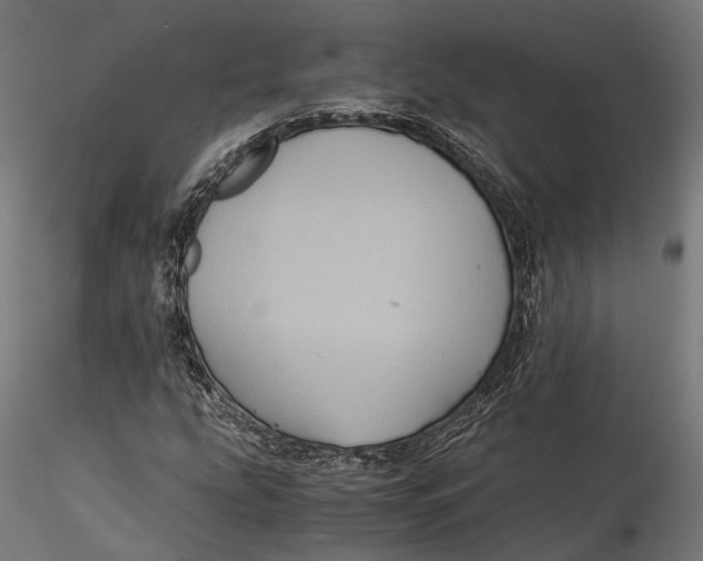 X0000116001207200912101309