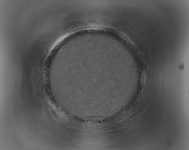 X0000116001208200912101309