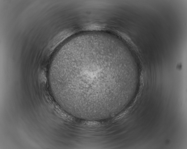 X0000116001209200912101309