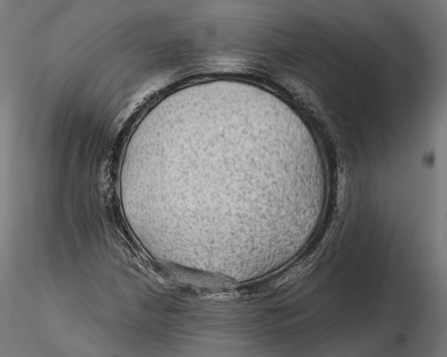 X0000116001210200912101309