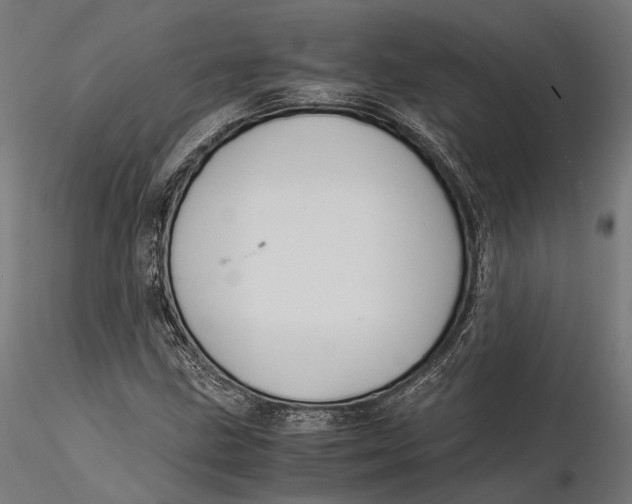 X0000116001211200912101309