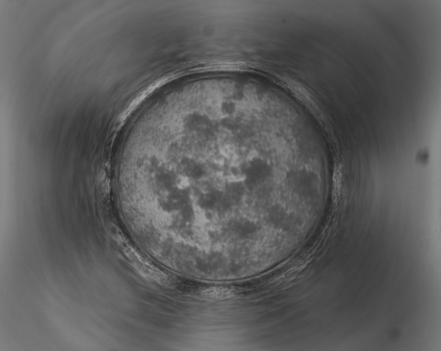 X0000116001212200912101309