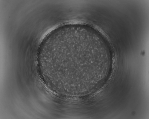 X0000116001213200912101309