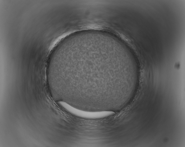 X0000116001214200912101309