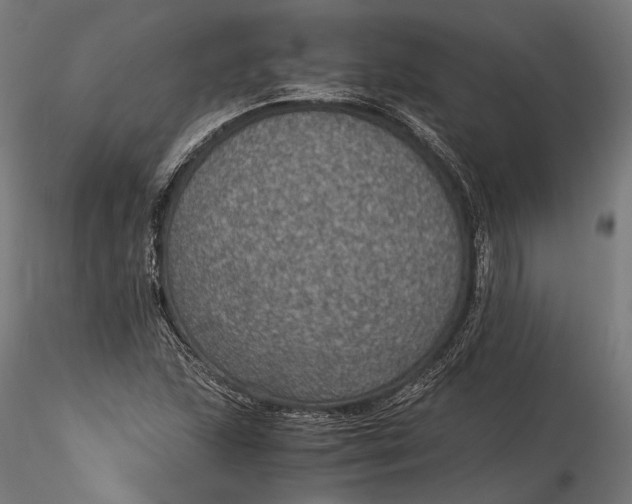 X0000116001215200912101309