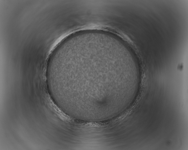 X0000116001216200912101309