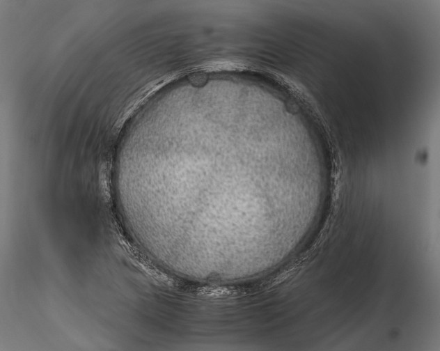 X0000116001217200912101309