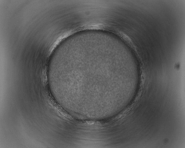 X0000116001218200912101309