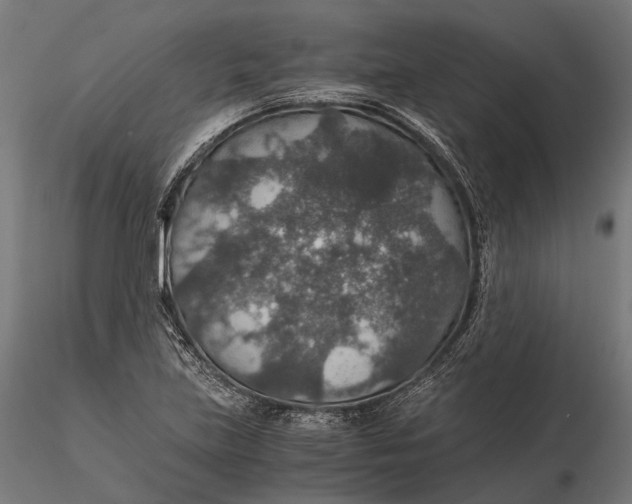 X0000116001219200912101309