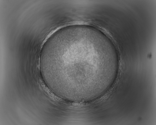 X0000116001220200912101309