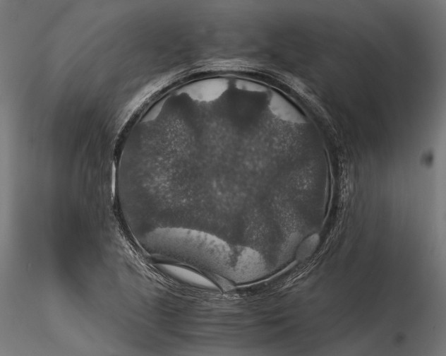 X0000116001221200912101309