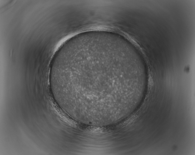 X0000116001222200912101309