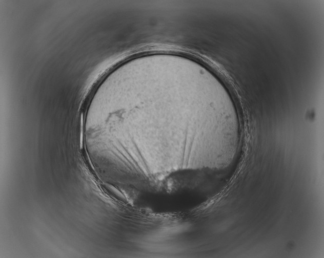 X0000116001223200912101309